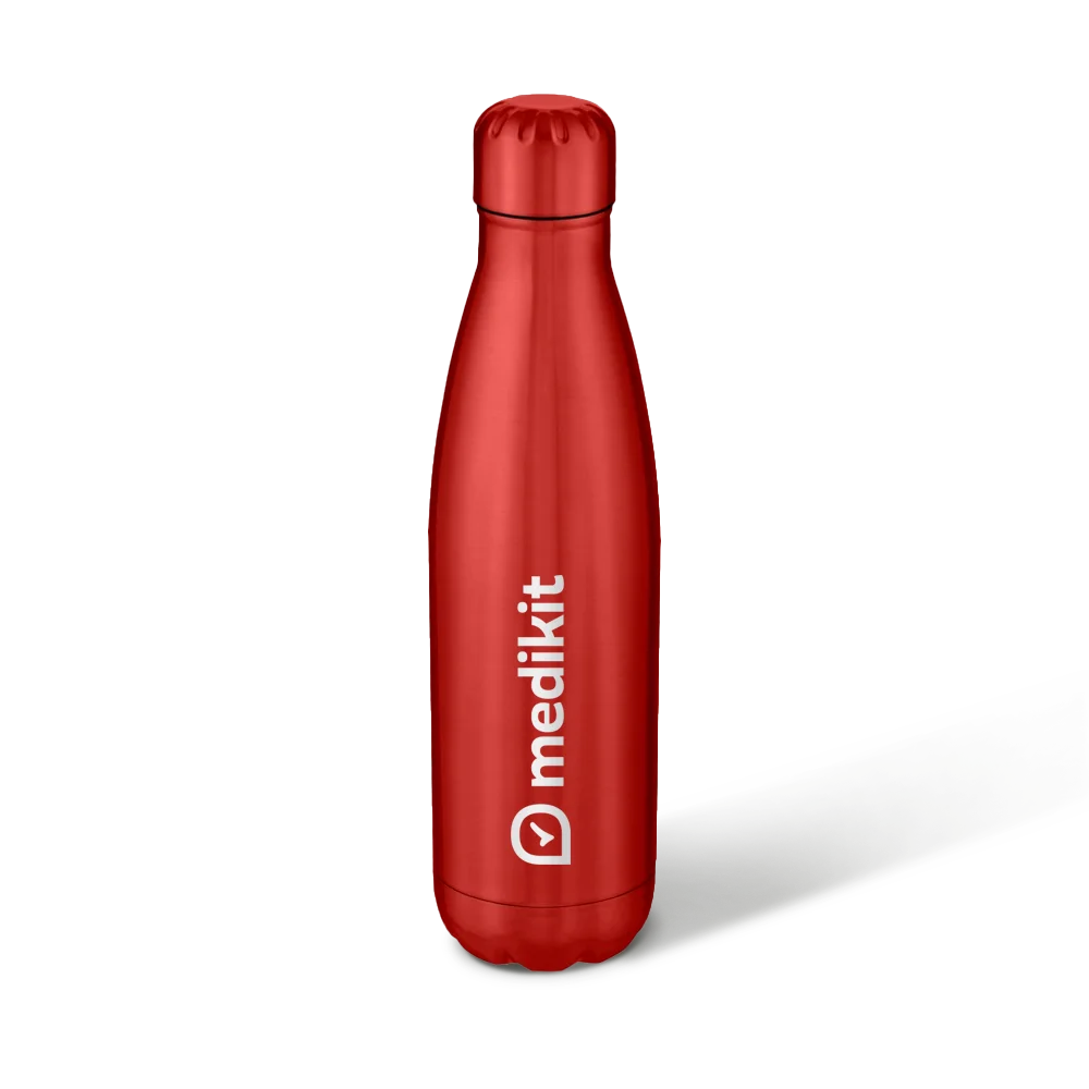 Stainless Steel Bottle, a corporate Christmas gift idea