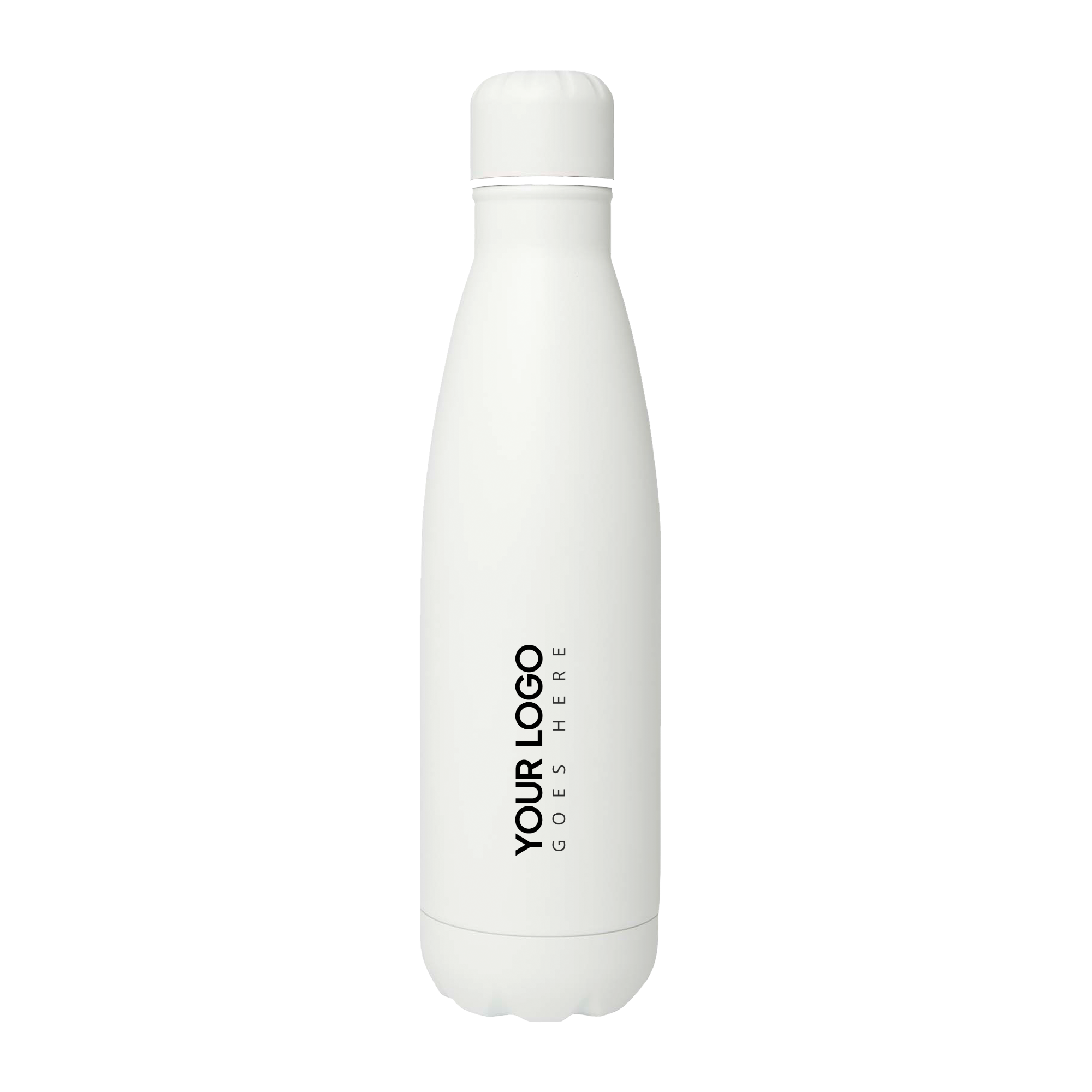 Stainless Steel Bottle 1